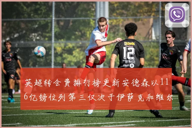 英超转会费排行榜更新安德森以116亿镑位列第三仅次于伊萨克和维尔茨